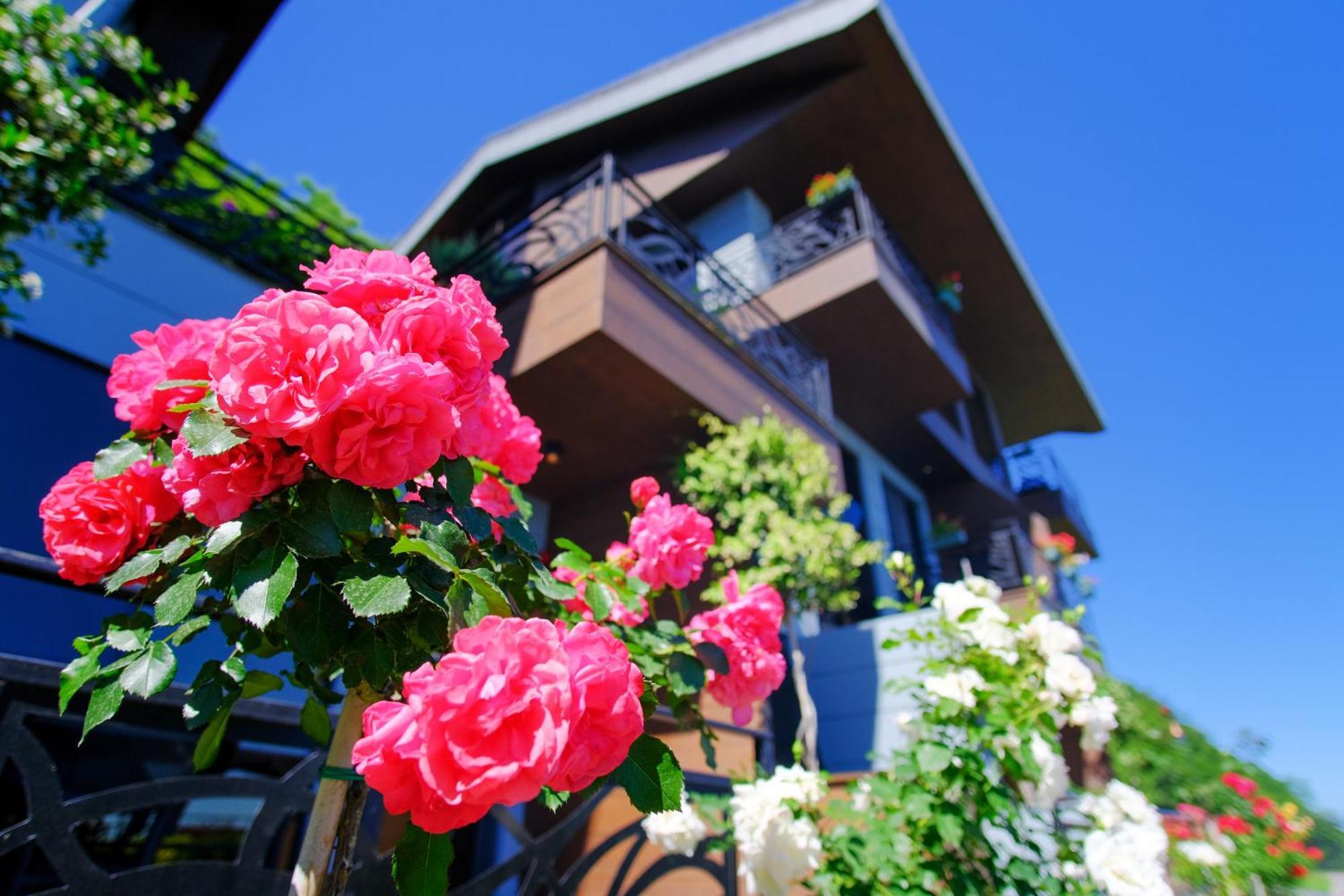Peerless Villas Hotel ترابزون المظهر الخارجي الصورة